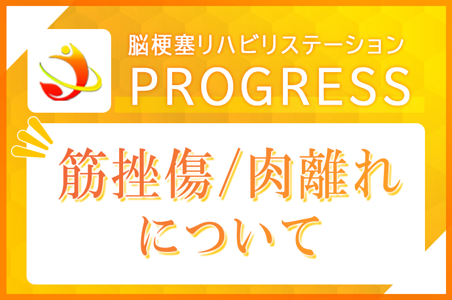 筋挫傷 肉離れについて 脳梗塞リハビリステーションprogress 22年10月17日